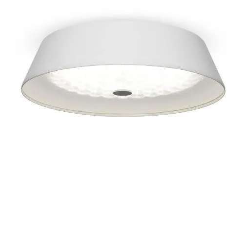 Потолочный светильник Freya FR10013CL-L24W