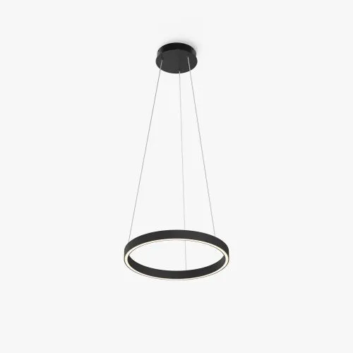Подвесной светильник Maytoni MOD058PL-L22BK фото 5