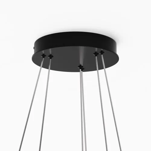 Подвесной светильник Maytoni MOD058PL-L55BK фото 5