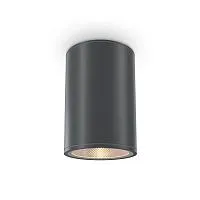 Уличный потолочный светильник Outdoor O306CL-L12GF					