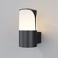 Уличный настенный светильник Outdoor O016WL-01B