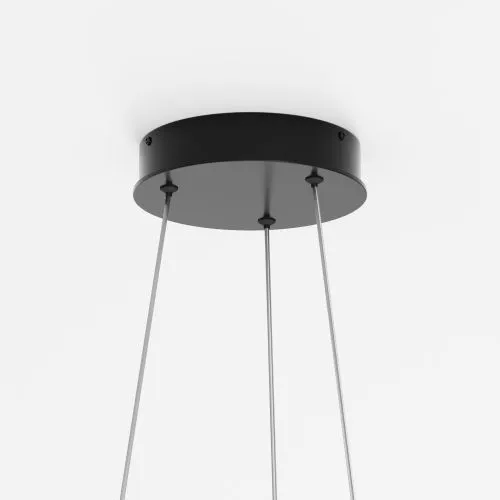 Подвесной светильник Maytoni MOD058PL-L54BK фото 3