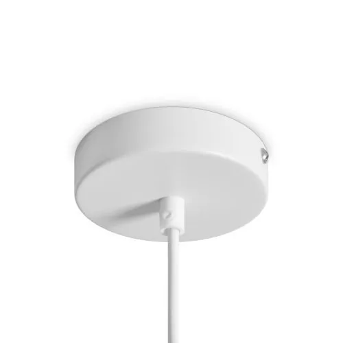 Подвесной светильник Freya FR5530PL-L10W фото 7