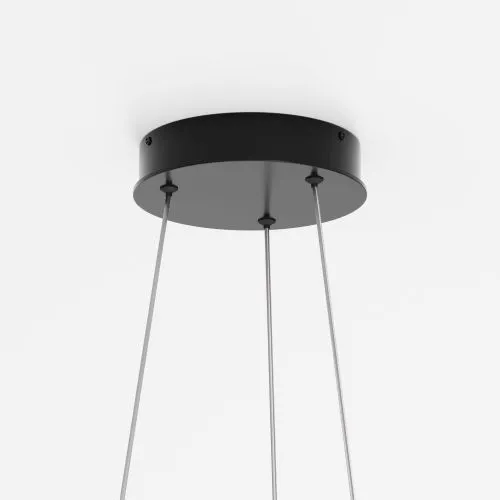 Подвесной светильник Maytoni MOD058PL-L42BK фото 5
