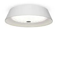 Потолочный светильник Freya FR10013CL-L24W					