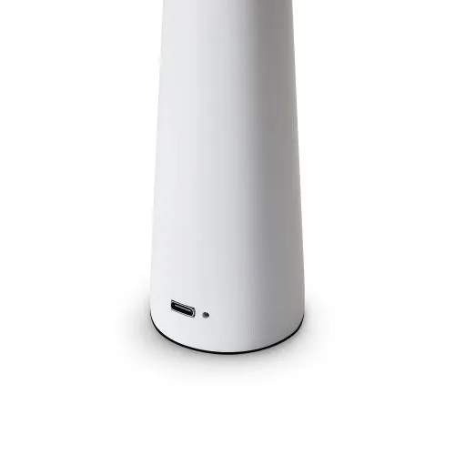 Настольный светильник Freya FR6188TL-L3W фото 5