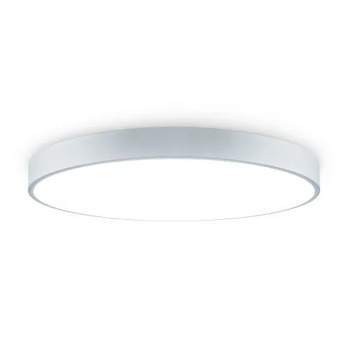 Потолочный светильник Freya FR6129CL-L80GR фото 2