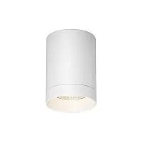 Уличный потолочный светильник Outdoor O500CL-L10W3K