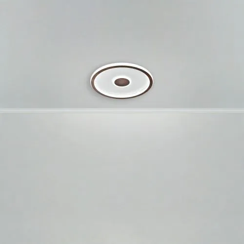 Потолочный светильник Freya FR5421CL-L80BR фото 6