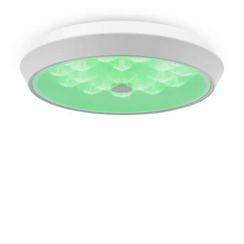 Потолочный светильник Freya FR10012CL-L24W фото 4