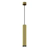 Подвесной светильник Maytoni P106PL-01-GU10-BS					
