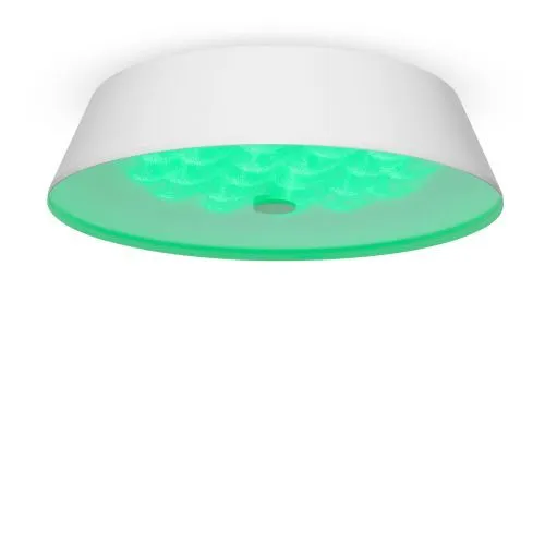 Потолочный светильник Freya FR10013CL-L24W фото 3