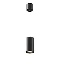 Подвесной светильник Maytoni P100PL-20W4K-B					