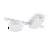 Потолочный светильник Freya FR5363CL-01W					