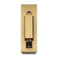 Настенный светильник (бра) Freya FR5347WL-L3BR					