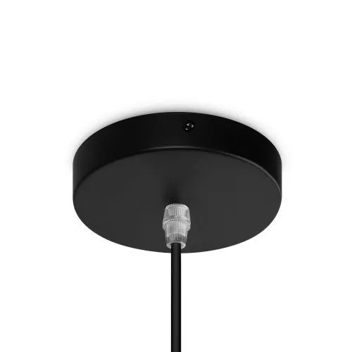 Подвесной светильник Freya FR5335PL-01B1 фото 9