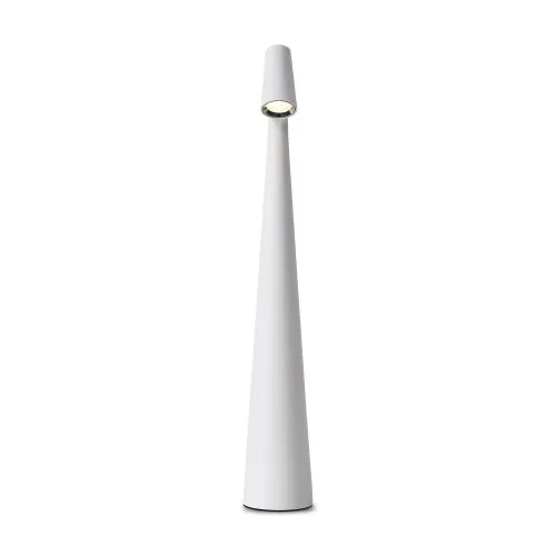 Настольный светильник Freya FR6188TL-L3W фото 4