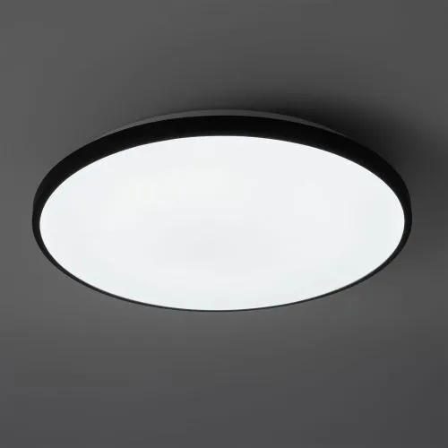 Потолочный светильник Freya FR6211CL-L24B фото 10