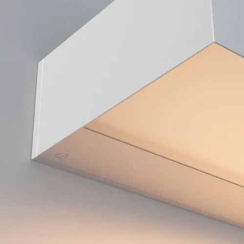 Уличный настенный светильник Outdoor O428WL-L10W3K фото 2