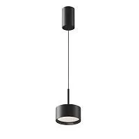 Подвесной светильник Maytoni P102PL-12W4K-B					