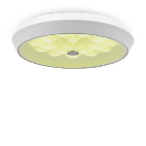 Потолочный светильник Freya FR10012CL-L24W фото 3