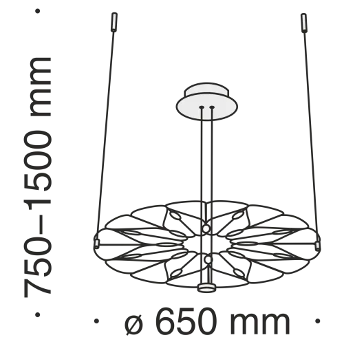 Подвесной светильник Maytoni MOD037PL-L16B фото 4