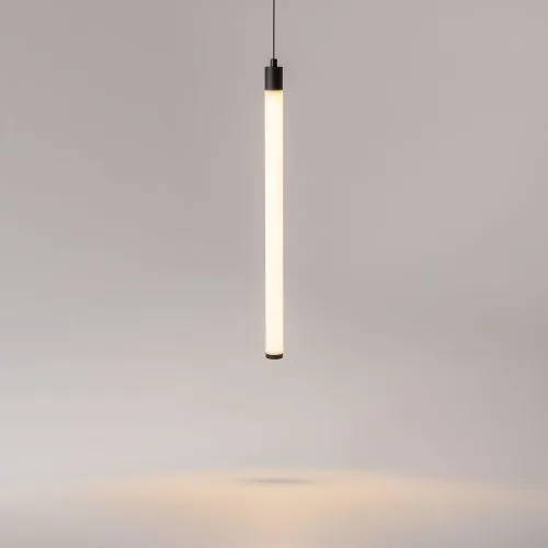 Подвесной светильник Maytoni P022PL-L10B фото 4
