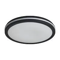 Потолочный светильник Freya FR6160CL-L40B