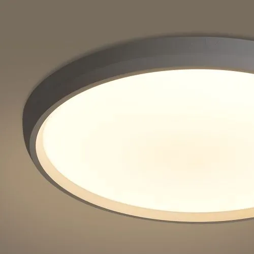 Потолочный светильник Freya FR6211CL-L24W фото 12