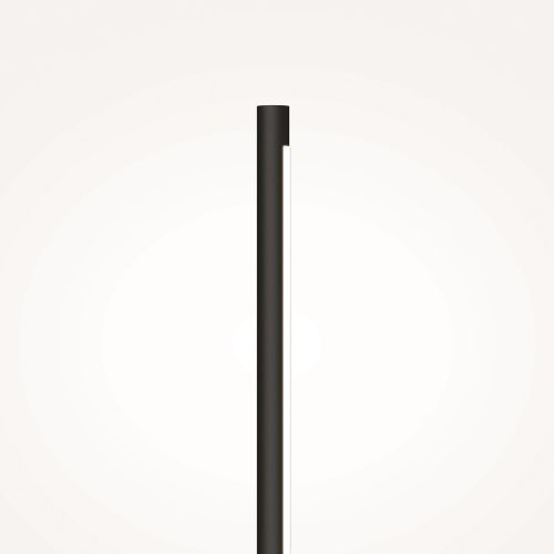 Настенный светильник (бра) Maytoni MOD256WL-L5B3K фото 6