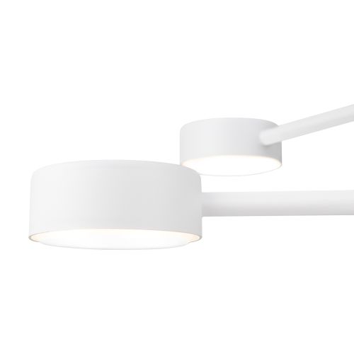 Потолочный светильник Freya FR5363CL-04W фото 3