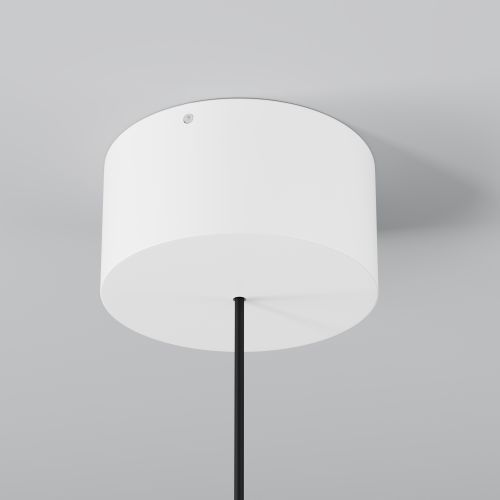 Уличный подвесной светильник Outdoor O491PL-L8W3K фото 7