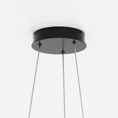 Подвесной светильник Maytoni MOD058PL-L32BK фото 3