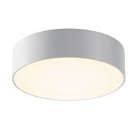 Уличный потолочный светильник Outdoor O431CL-L30W3K