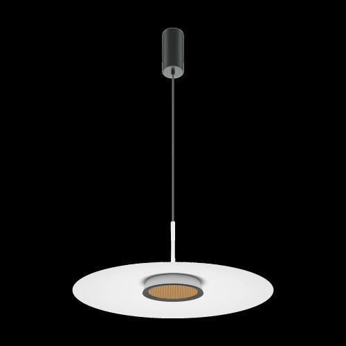 Подвесной светильник Maytoni MOD041PL-L15W3K1 фото 8