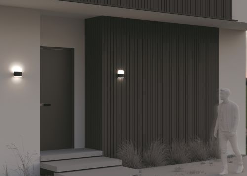 Уличный настенный светильник Outdoor O442WL-L12GF3K1 фото 3