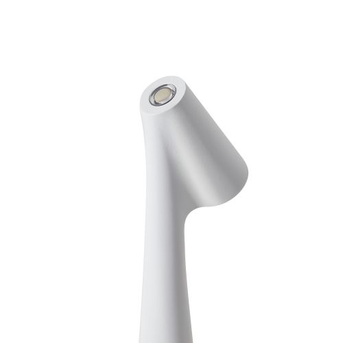 Настольный светильник Freya FR6188TL-L3W фото 6