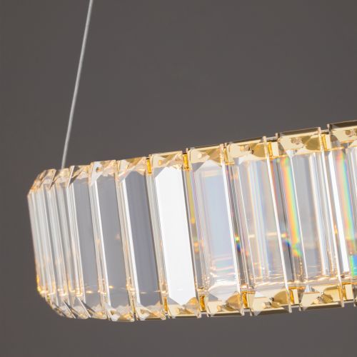Подвесной светильник Freya FR5257PL-L25G фото 2