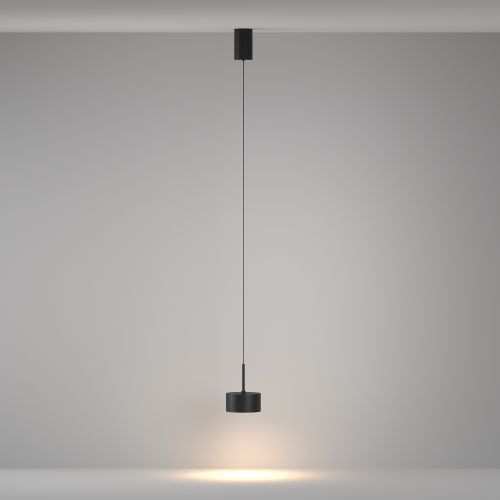 Подвесной светильник Maytoni P102PL-12W3K-B фото 4