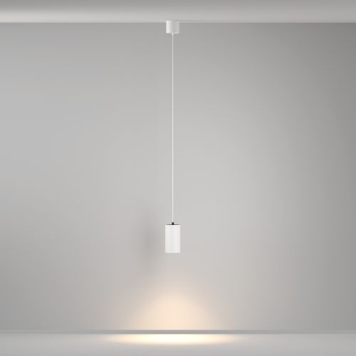 Подвесной светильник Maytoni P100PL-20W3K-W фото 11