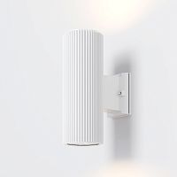 Уличный настенный светильник Outdoor O419WL-02W
