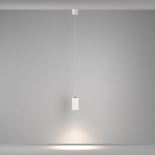 Подвесной светильник Maytoni P100PL-20W4K-W фото 10