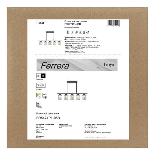 Люстра Freya FR5474PL-05B фото 6