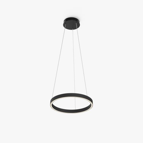 Подвесной светильник Maytoni MOD058PL-L22BK фото 5