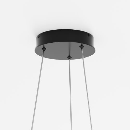 Подвесной светильник Maytoni MOD058PL-L54BK фото 3