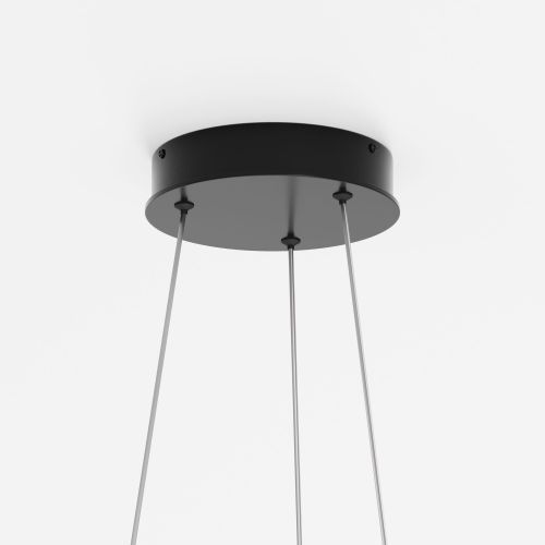 Подвесной светильник Maytoni MOD058PL-L42BK фото 5