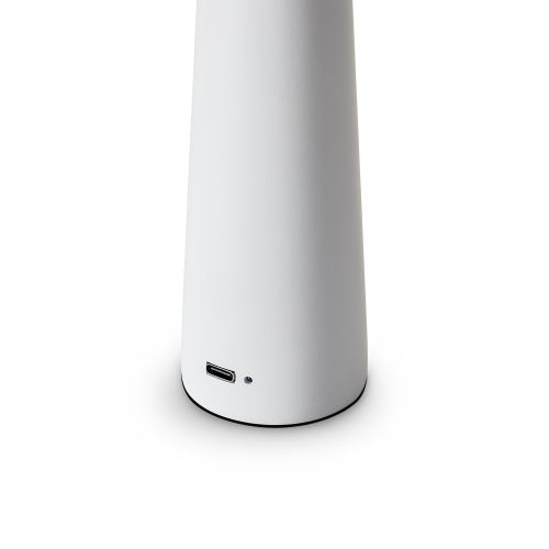 Настольный светильник Freya FR6188TL-L3W фото 5