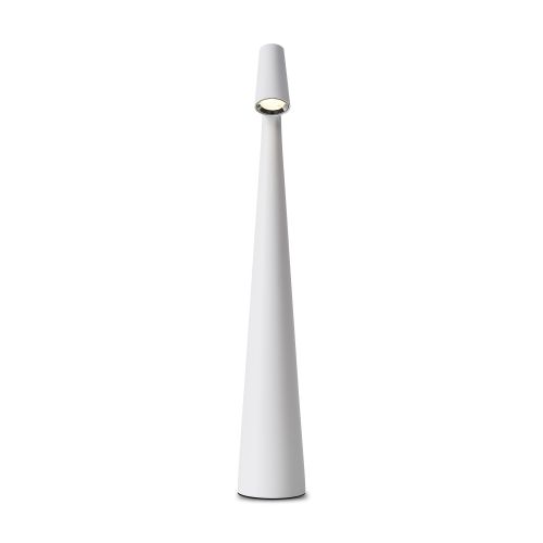 Настольный светильник Freya FR6188TL-L3W фото 4