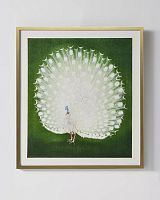 Интерьерный постер “White Peacock”