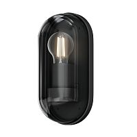 Уличный настенный светильник Outdoor O449WL-01GF
